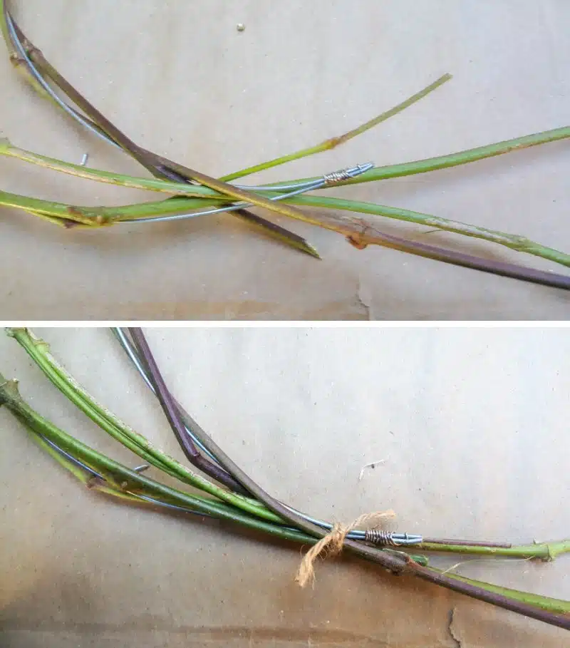 As more vines get added tie them together with twine or fishing line