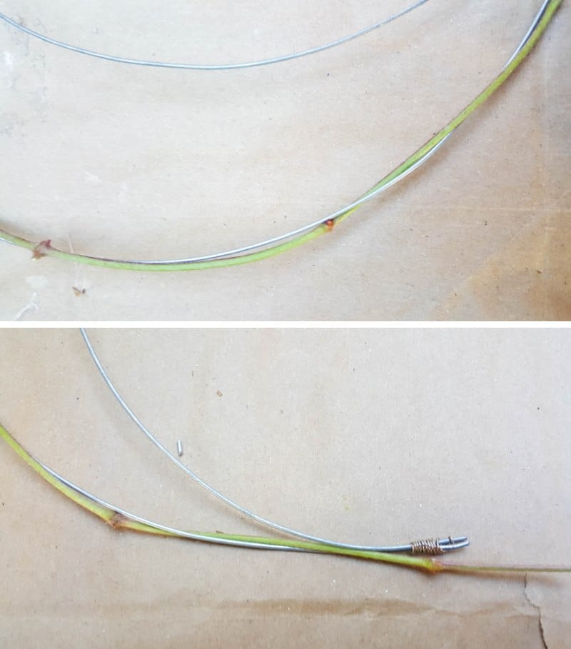 Starting at one end weave the vines around the wire form