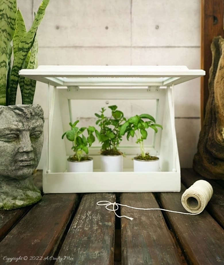 Don’t have space for the real thing, then this easy-to-make, tabletop greenhouse with faux-etched windows is perfect. It’s great for growing microgreens, herbs, succulents, air plants, moss, cacti, and more. And for adding visual interest. The tabletop greenhouse makes a wonderful housewarming gift too and is ideal for small spaces. #ACraftyMix