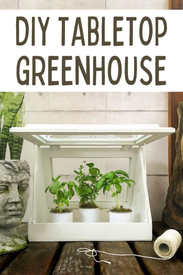 Don&rsquo;t have space for the real thing, then this easy-to-make, tabletop greenhouse with faux-etched windows is perfect. It&rsquo;s great for growing microgreens, herbs, succulents, air plants, moss, cacti, and more. And for adding visual interest. The tabletop greenhouse makes a wonderful housewarming gift too and is ideal for small spaces. #ACraftyMix