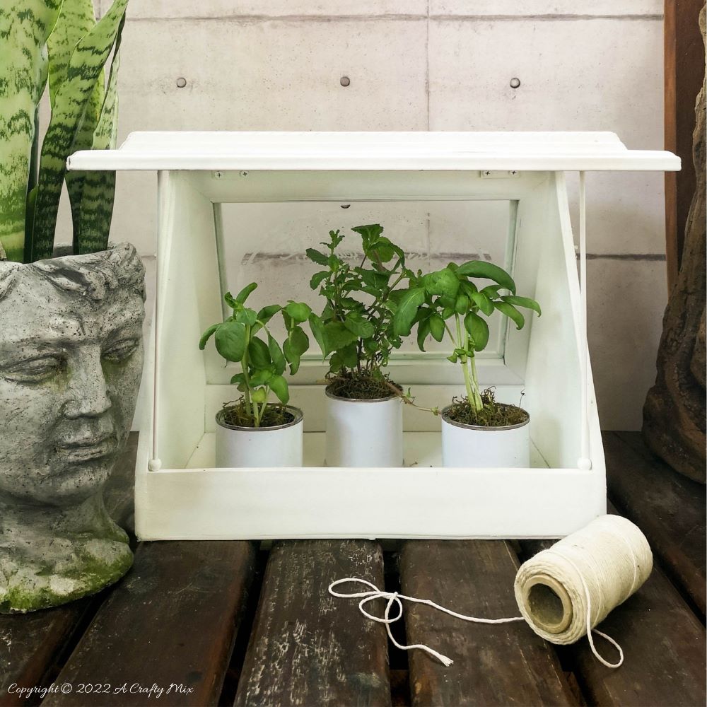 Don&rsquo;t have space for the real thing, then this easy-to-make, tabletop greenhouse with faux-etched windows is perfect. It&rsquo;s great for growing microgreens, herbs, succulents, air plants, moss, cacti, and more. And for adding visual interest. The tabletop greenhouse makes a wonderful housewarming gift too and is ideal for small spaces. #ACraftyMix