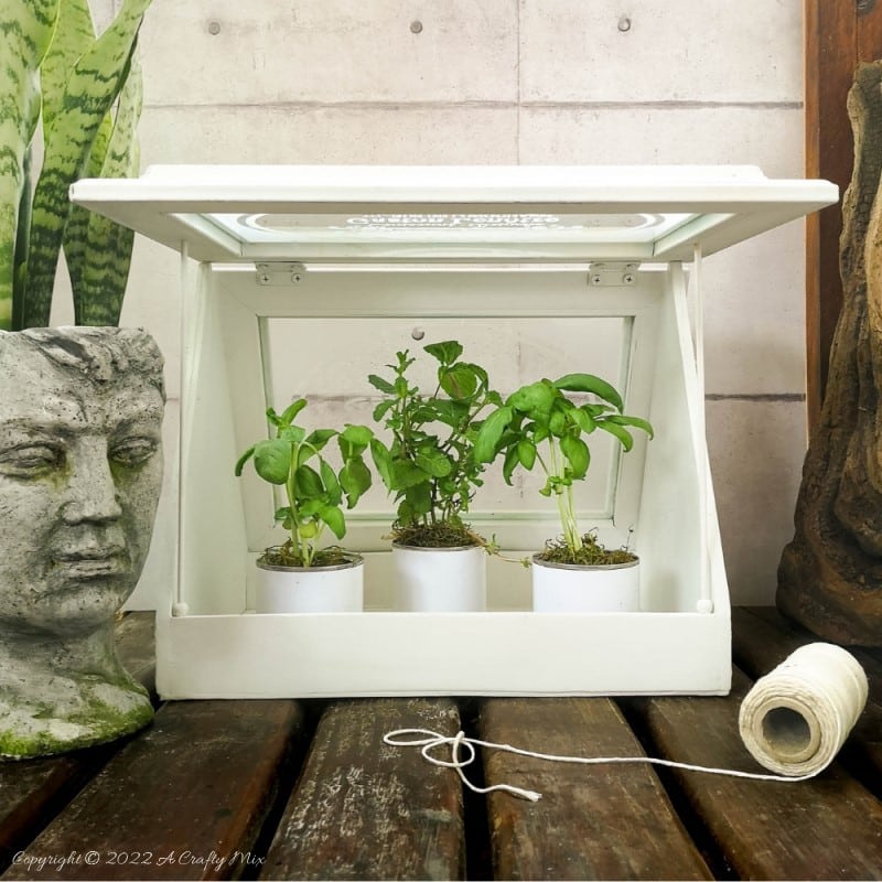 Don&rsquo;t have space for the real thing, then this easy-to-make, tabletop greenhouse with faux-etched windows is perfect. It&rsquo;s great for growing microgreens, herbs, succulents, air plants, moss, cacti, and more. And for adding visual interest. The tabletop greenhouse makes a wonderful housewarming gift too and is ideal for small spaces. #ACraftyMix