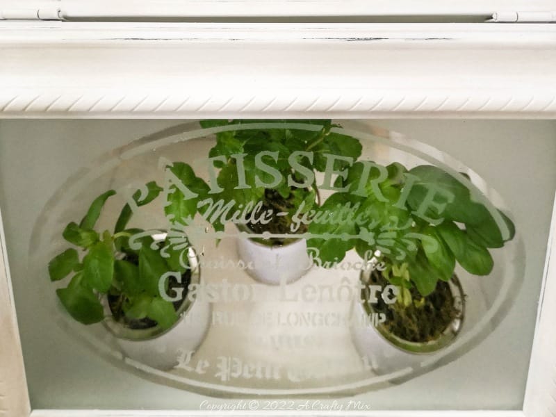 Don&rsquo;t have space for the real thing, then this easy-to-make, tabletop greenhouse with faux-etched windows is perfect. It&rsquo;s great for growing microgreens, herbs, succulents, air plants, moss, cacti, and more. And for adding visual interest. The tabletop greenhouse makes a wonderful housewarming gift too and is ideal for small spaces. #ACraftyMix