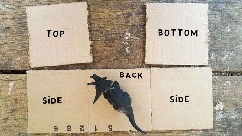 Cut out the box template using the size of the dinosaurs as a guide