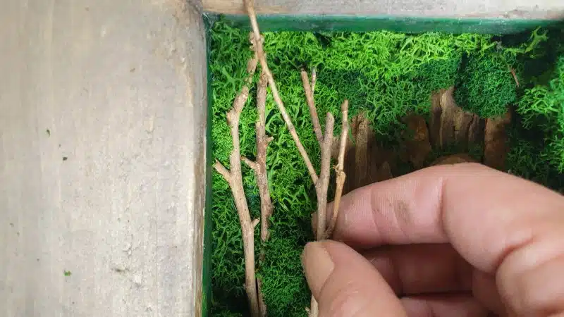 Glue twigs to the bottom of the reverse canvas