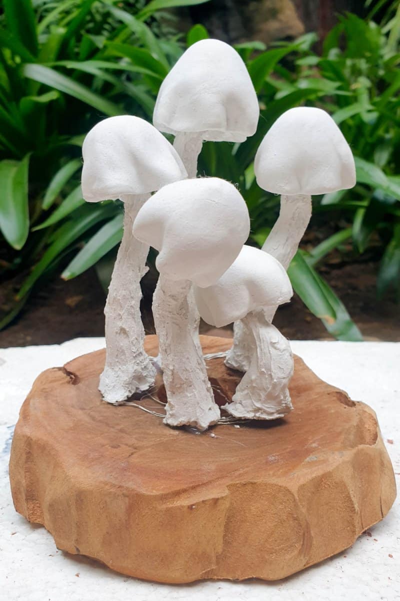 Insert the clay mushroom into the slice of wood