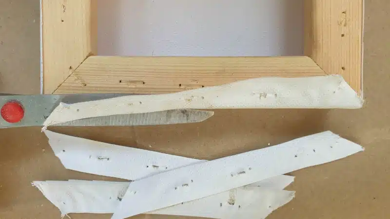 Cut away the excess canvas