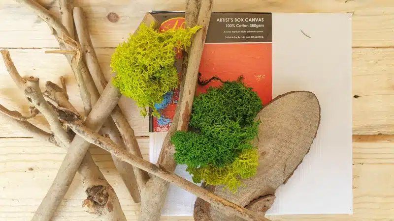 What you need to make a magical fairy forest inside a reverse canvas