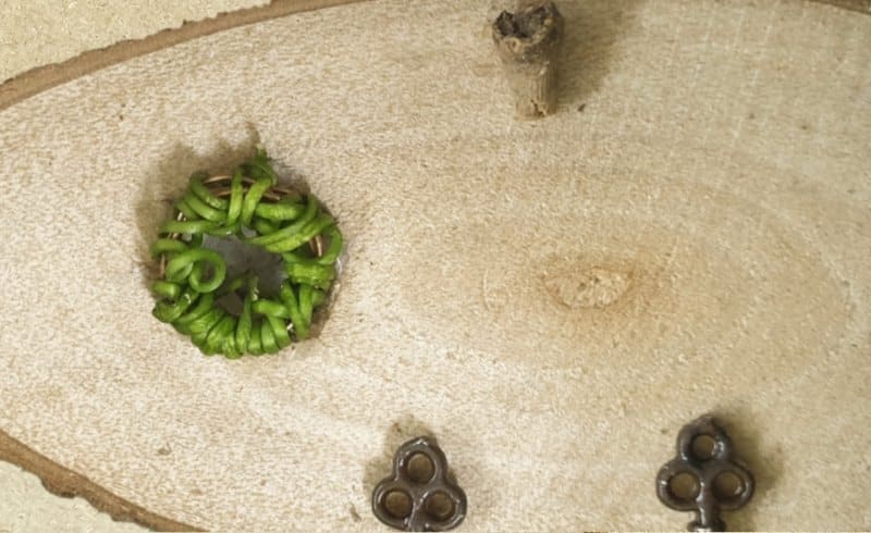 Wood slice fairy door with hinges, window and twig door knob