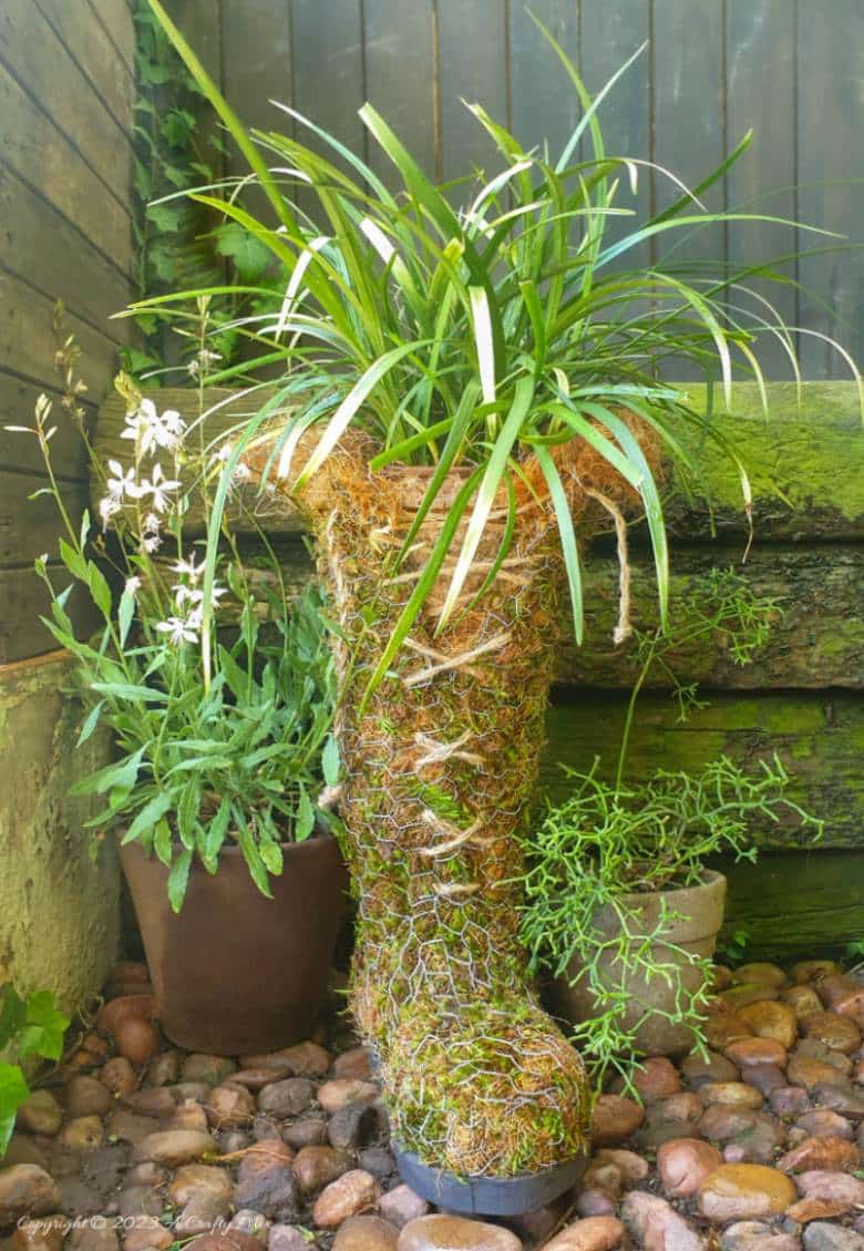 Are you looking for a beautiful and natural-looking planter that will add character and rustic charm to your outdoor space? This Leprechaun-approved mossy boot planter is the perfect solution! It&rsquo;s both budget-friendly and easy to make. Get the full tutorial @ACRaftyMix