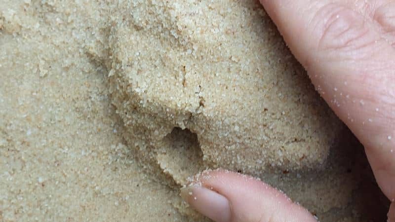The sand should hold it's shape without crumbling