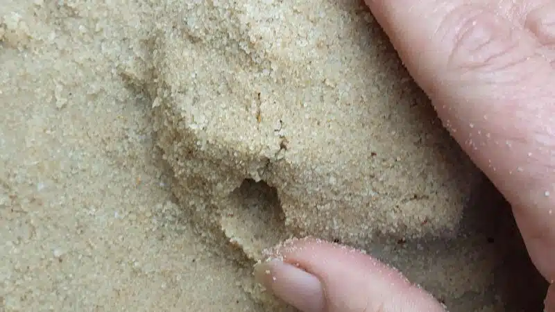 The sand should hold it's shape without crumbling