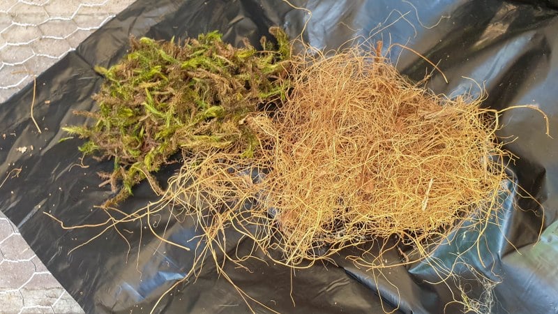 What you need to make the mossy boot planter