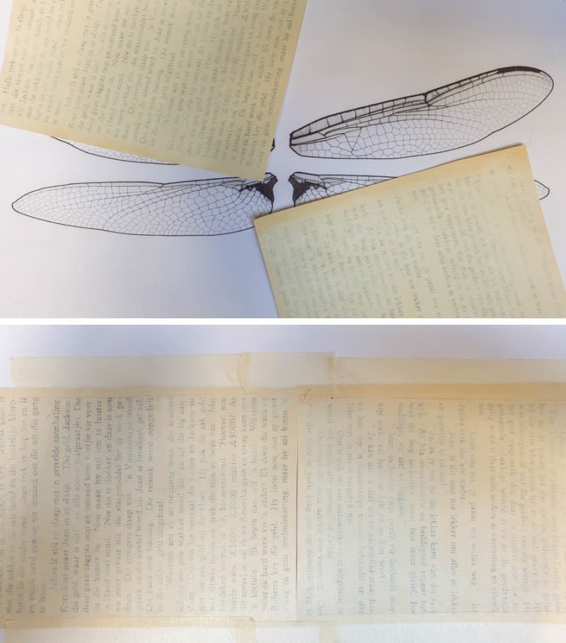 Print the dragonfly wings on book pages