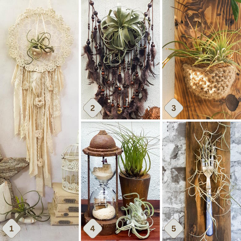 Creating living 3D art with Tillandsias is an inexpensive way to add a unique and creative touch to any space. These plants require minimal maintenance, making them a great choice for busy people who still want to enjoy the beauty of nature. In this tutorial, we share how you can use air plants to create a stunning display that will bring life into any room. #ACraftyMix