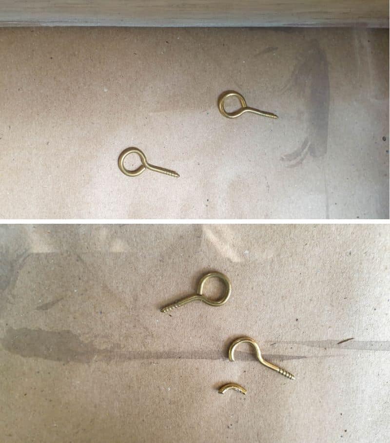 Eye hooks can be used to hang Spanish moss
