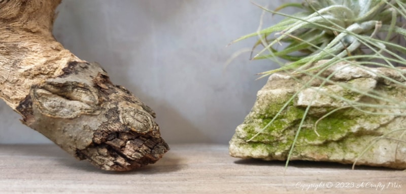 Creating living 3D art with Tillandsias is an inexpensive way to add a unique and creative touch to any space. These plants require minimal maintenance, making them a great choice for busy people who still want to enjoy the beauty of nature. In this tutorial, we share how you can make an air plant shadow box and create a stunning display that will bring life into any room. #ACraftyMix