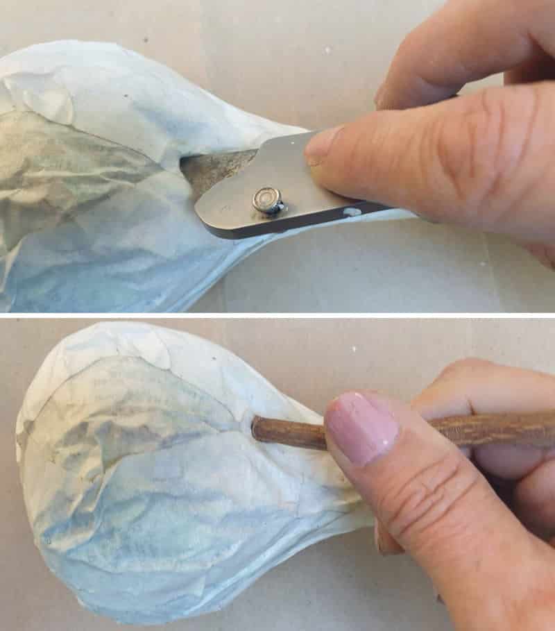 One end of the aerial root is inserted into the newspaper ball and glued in place