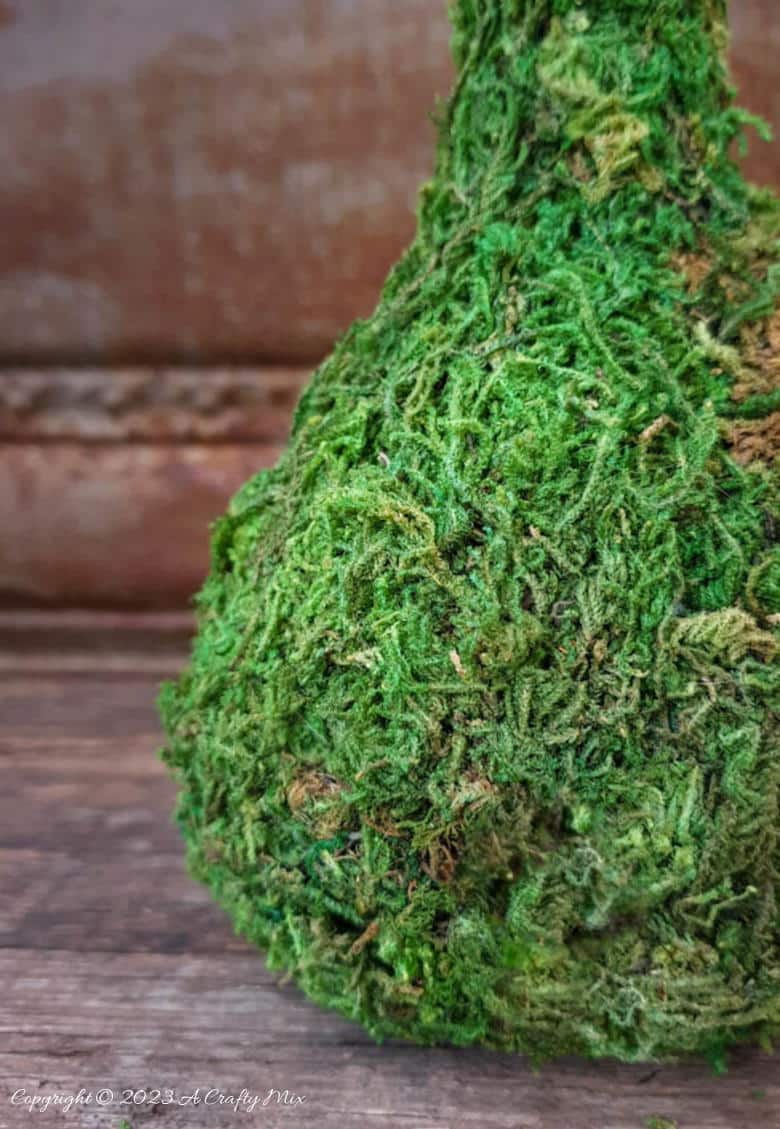 Get ready to transform yesterday&rsquo;s headlines into unique home d&eacute;cor! In this tutorial, we&rsquo;ll show you how to make your own moss vase using newspaper. It&rsquo;s the perfect blend of nature and creativity done on a budget. #ACraftyMix #Tutorial