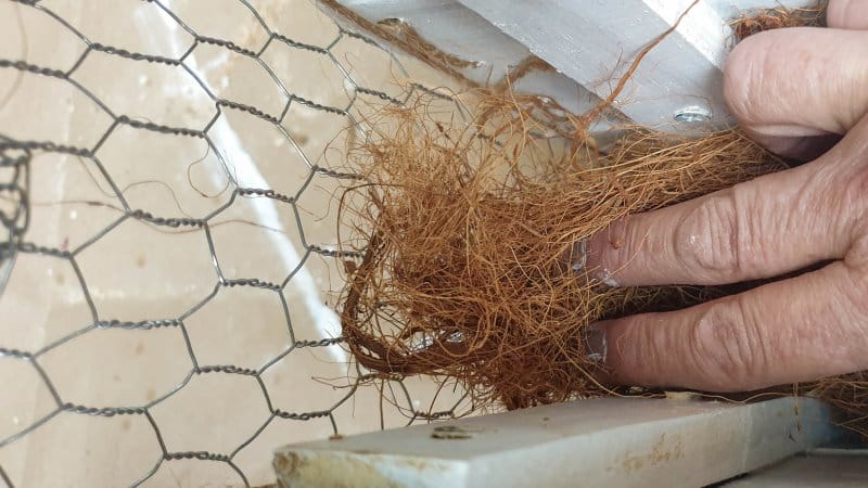 Add a layer of coconut fibre to the inside of the handbagplanter