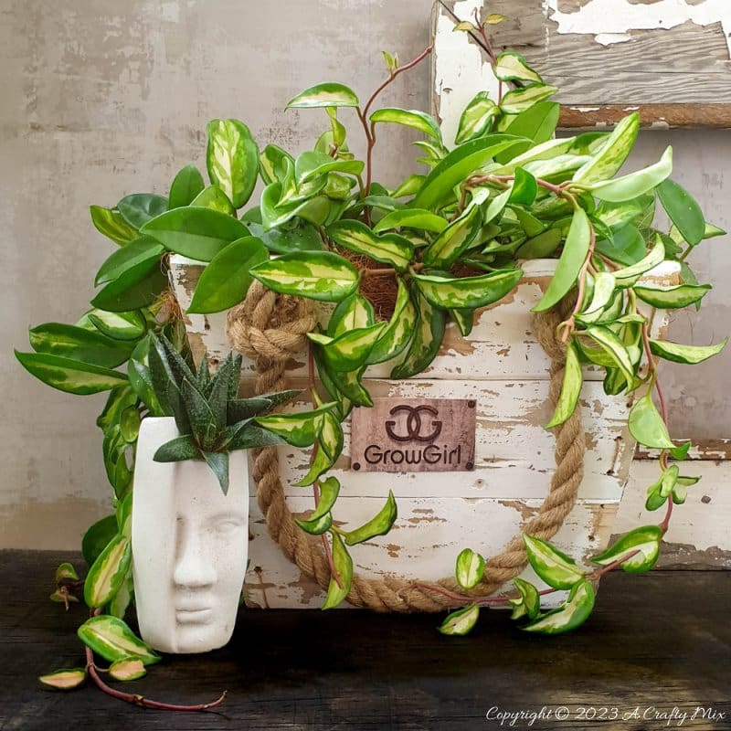 Who said upcycled planters can't be stylish? Our step-by-step tutorial will show you how to make a unique DIY pallet scrap handbag planter. This little gem will add a touch of whimsy and eco-friendly charm to any corner of your home, and it&rsquo;s easy to make too. #ACraftyMix