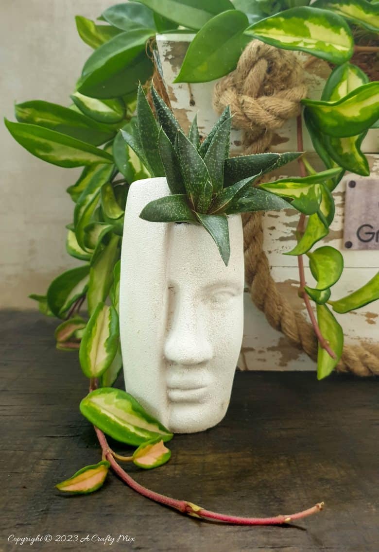 Who said upcycled planters can't be stylish? Our step-by-step tutorial will show you how to make a unique DIY pallet scrap handbag planter. This little gem will add a touch of whimsy and eco-friendly charm to any corner of your home, and it&rsquo;s easy to make too. #ACraftyMix
