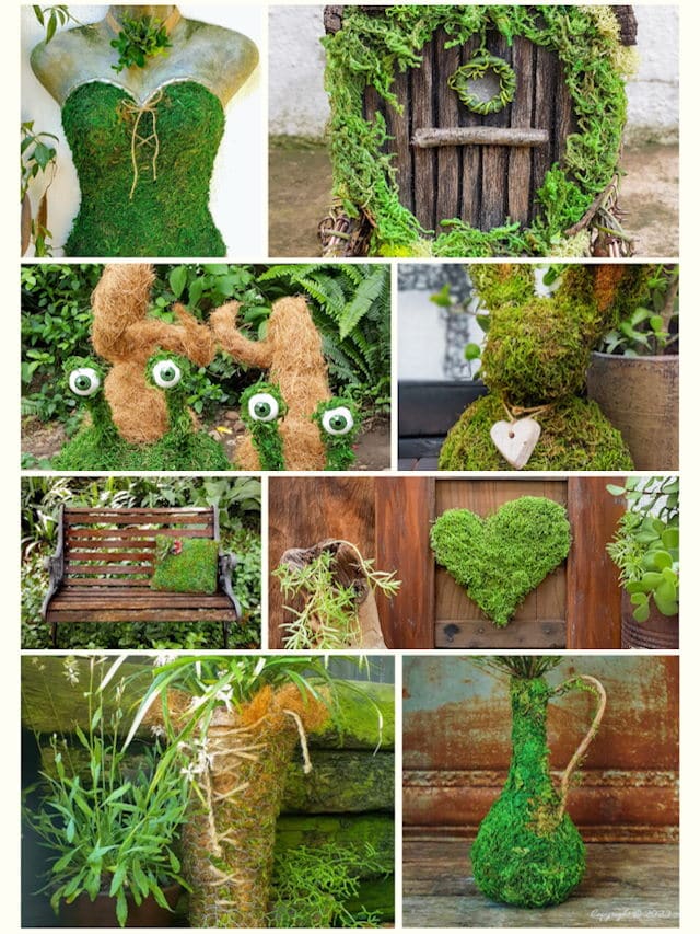 8 Enchanting Moss Crafts to Make at Home