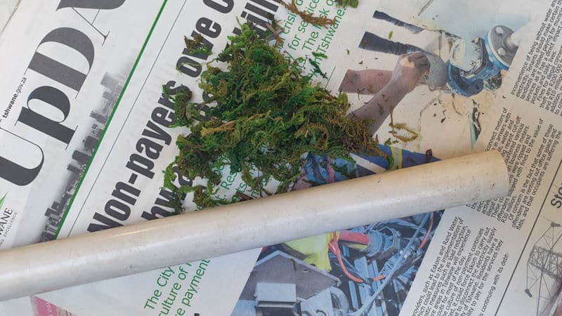 What you need to make a moss newspaper vase