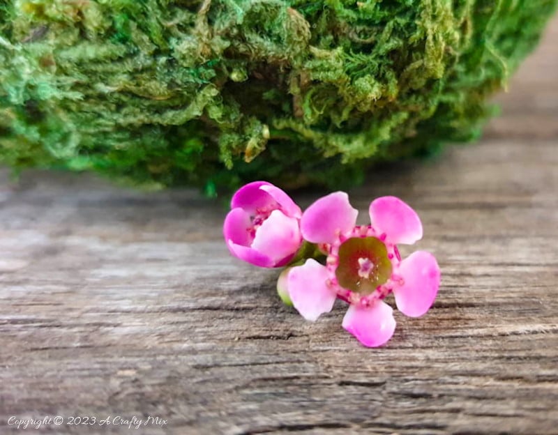 Get ready to transform yesterday&rsquo;s headlines into unique home d&eacute;cor! In this tutorial, we&rsquo;ll show you how to make your own moss vase using newspaper. It&rsquo;s the perfect blend of nature and creativity done on a budget. #ACraftyMix #Tutorial