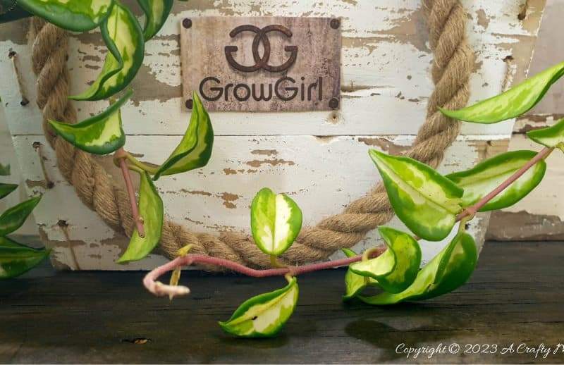 Who said upcycled planters can't be stylish? Our step-by-step tutorial will show you how to make a unique DIY pallet scrap handbag planter. This little gem will add a touch of whimsy and eco-friendly charm to any corner of your home, and it&rsquo;s easy to make too. #ACraftyMix