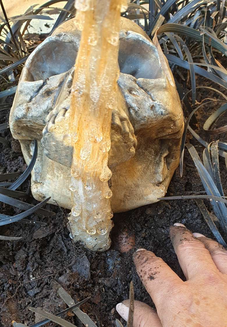 Embed the skull in the soil with it's eyes facing upwards