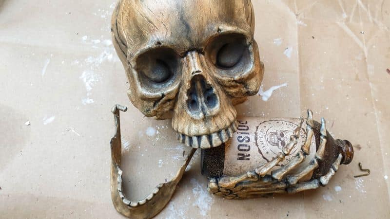 The main pieces needed for this planter are ready, including the skull, skeleton hand and bottle