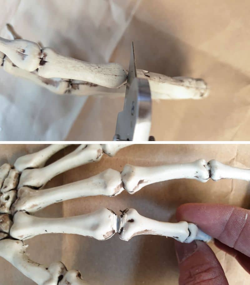 Most skeleton hands have fused joints that need to be cut so they can grasp the bottle