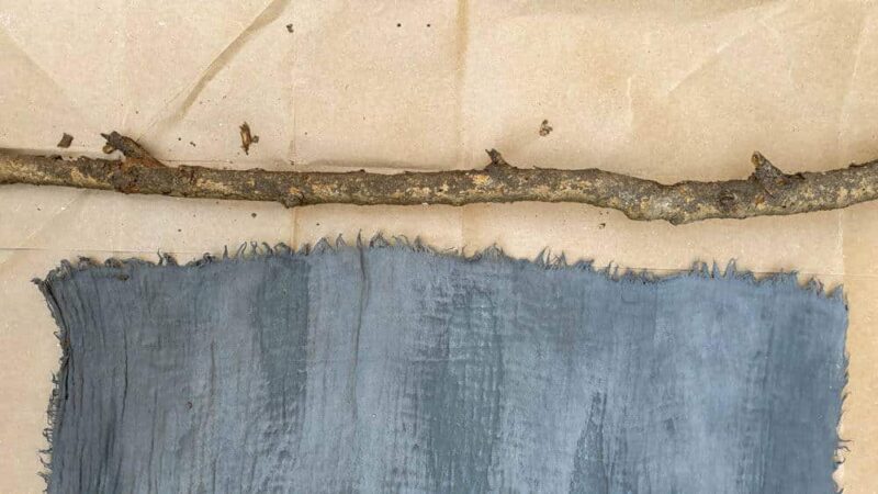 Find a suitable branch in the garden to hang your 3D work of art