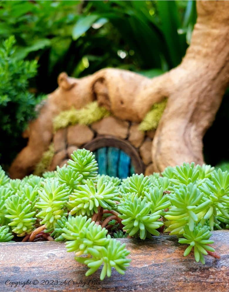 Are you ready to add a little enchantment to your garden? This magical tutorial will show you how to upcycle a simple polystyrene dish into a whimsical faux wood fairy door using basic tools like toothpicks and paintbrushes. It&rsquo;s budget and eco-friendly and will delight both young and old! We&rsquo;ll walk you through the process from start to finish and share a easy tips to create your own version in any setting.