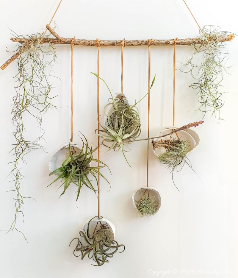 Let your air plants be the stars of the show. These budget-friendly, hanging clay tubes are quick to make and easy to customise. Low-maintenance, boho decor in under 20 minutes. Get the full Tutorial at A Crafty Mix