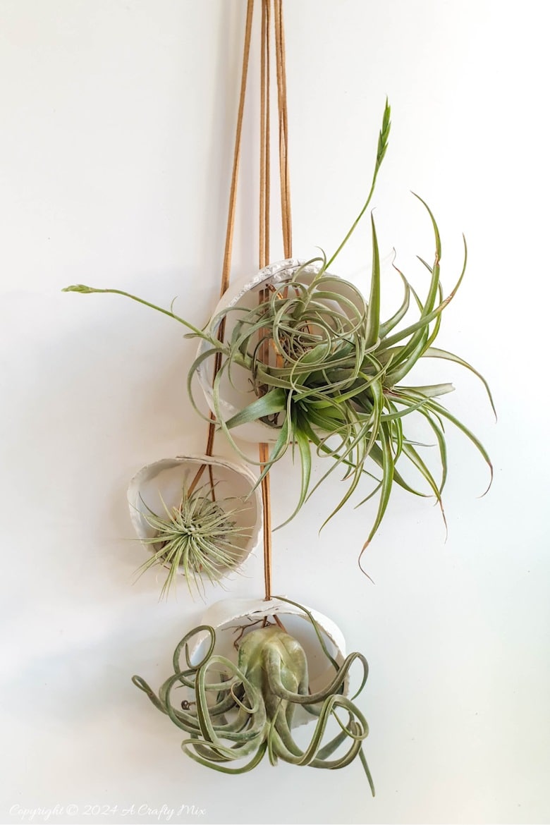 Let your air plants be the stars of the show. These budget-friendly, hanging clay tubes are quick to make and easy to customise. Low-maintenance, boho decor in under 20 minutes. Get the full Tutorial at A Crafty Mix