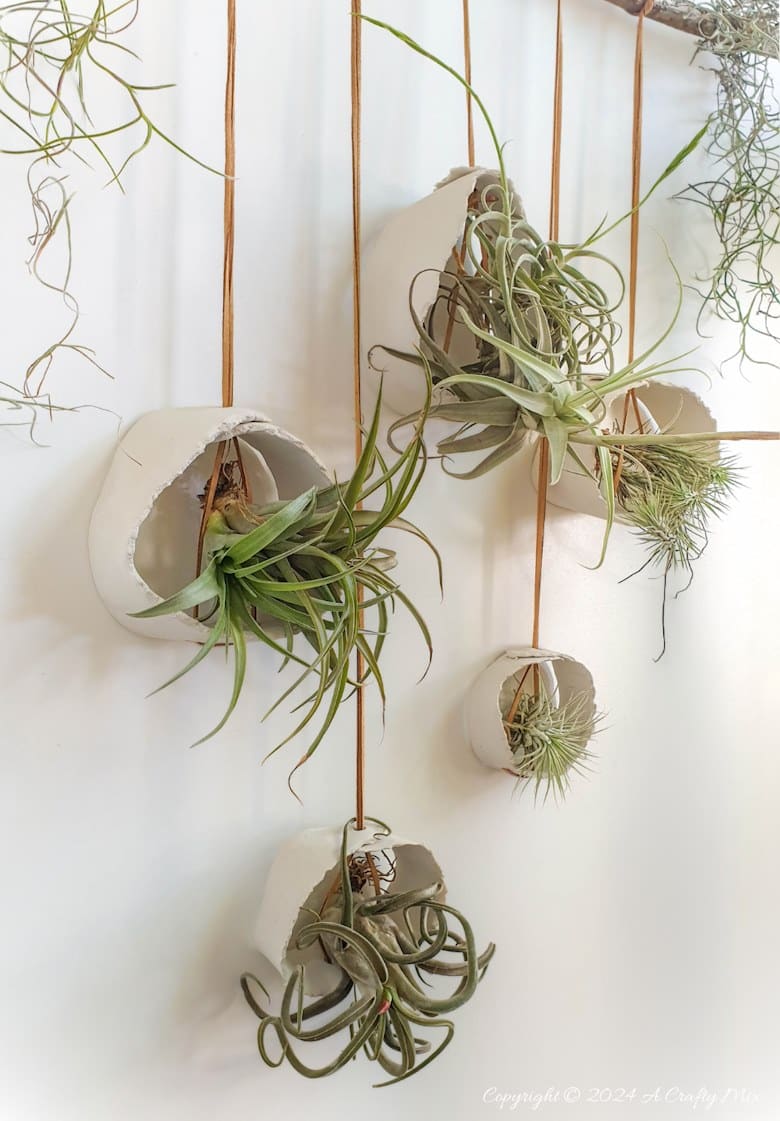 Let your air plants be the stars of the show. These budget-friendly, hanging clay tubes are quick to make and easy to customise. Low-maintenance, boho decor in under 20 minutes. Get the full Tutorial at A Crafty Mix