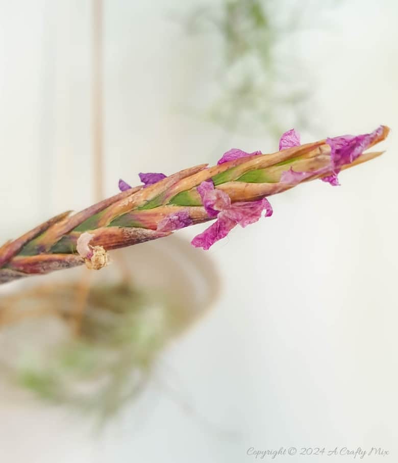 Let your air plants be the stars of the show. These budget-friendly, hanging clay tubes are quick to make and easy to customise. Low-maintenance, boho decor in under 20 minutes. Get the full Tutorial at A Crafty Mix