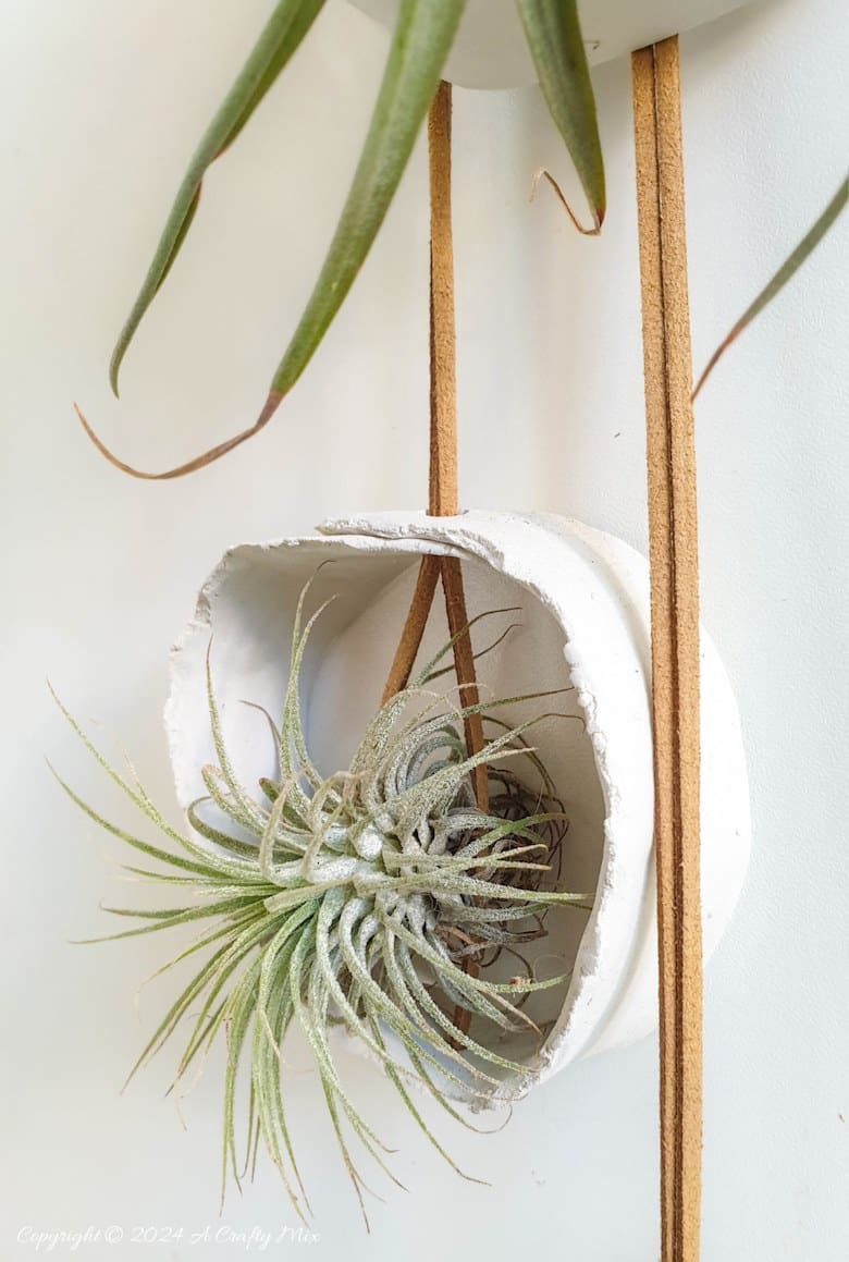 Let your air plants be the stars of the show. These budget-friendly, hanging clay tubes are quick to make and easy to customise. Low-maintenance, boho decor in under 20 minutes. Get the full Tutorial at A Crafty Mix