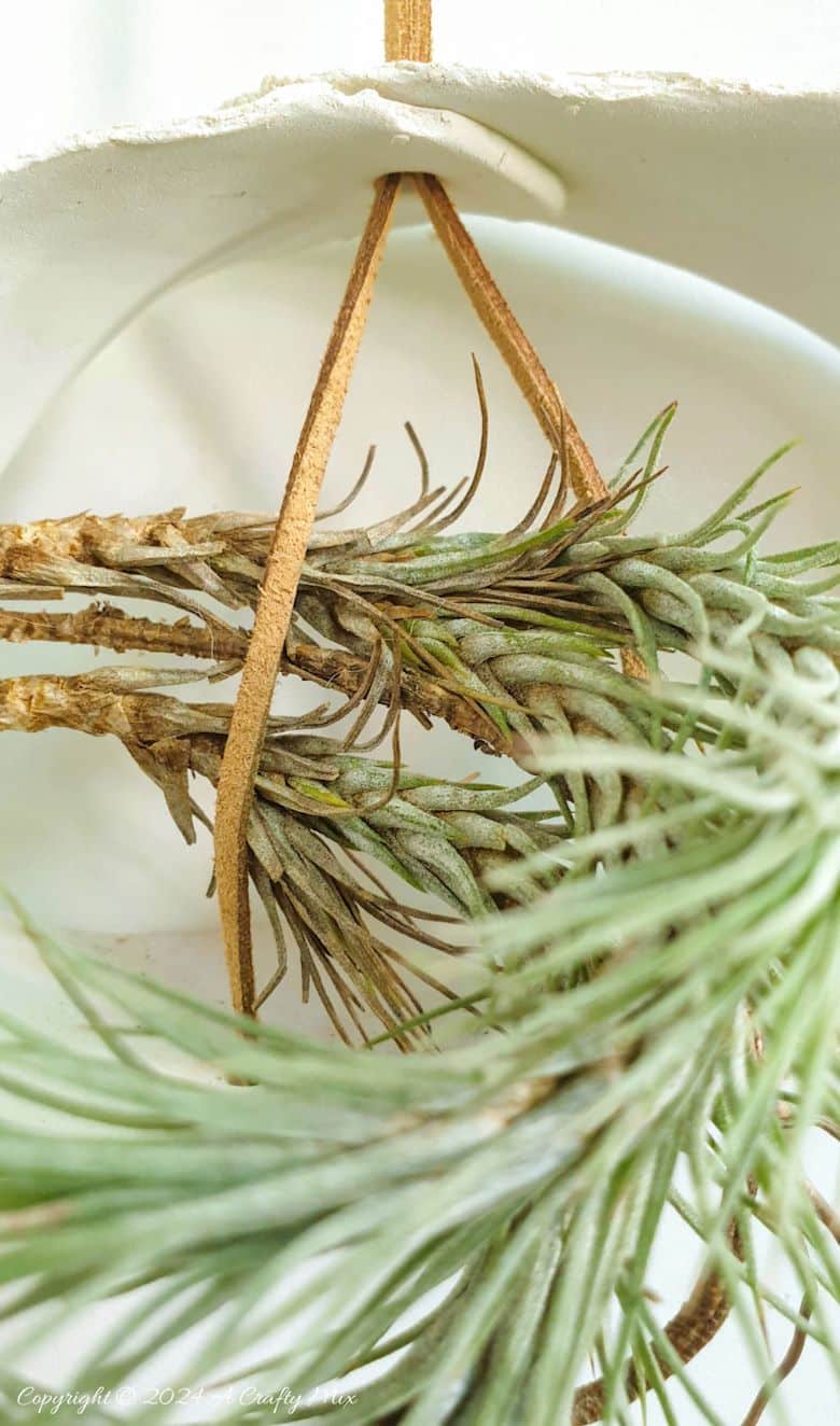 Let your air plants be the stars of the show. These budget-friendly, hanging clay tubes are quick to make and easy to customise. Low-maintenance, boho decor in under 20 minutes. Get the full Tutorial at A Crafty Mix