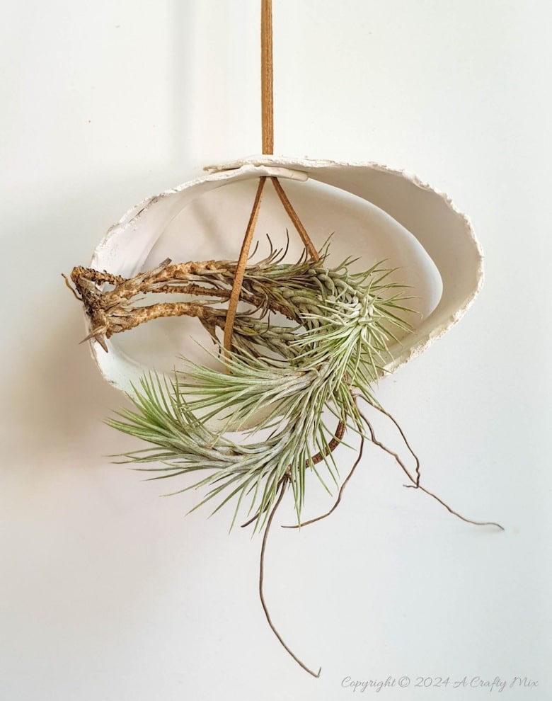 Let your air plants be the stars of the show. These budget-friendly, hanging clay tubes are quick to make and easy to customise. Low-maintenance, boho decor in under 20 minutes. Get the full Tutorial at A Crafty Mix
