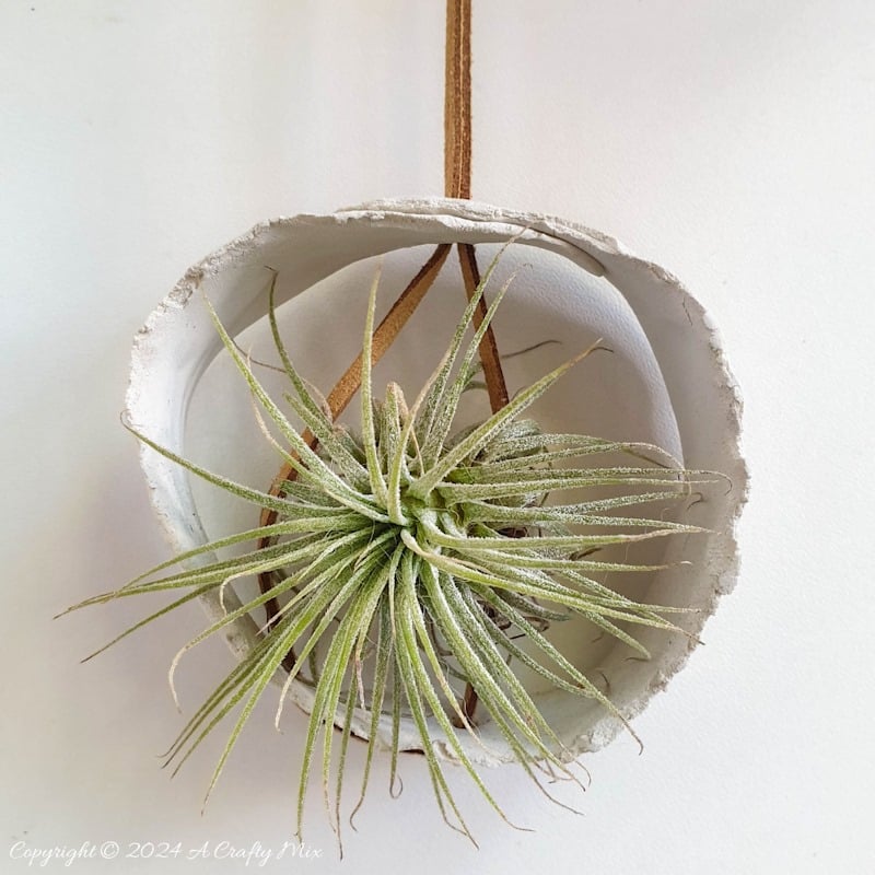Let your air plants be the stars of the show. These budget-friendly, hanging clay tubes are quick to make and easy to customise. Low-maintenance, boho decor in under 20 minutes. Get the full Tutorial at A Crafty Mix