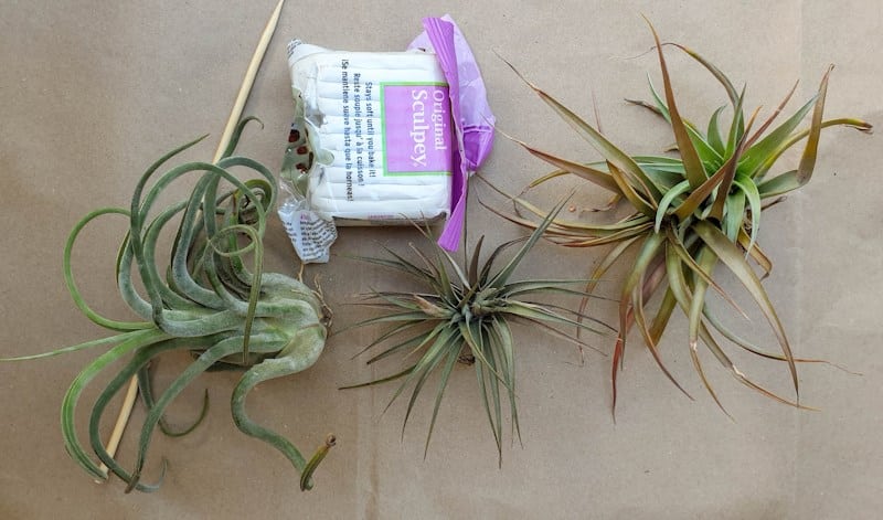 What you need to make hanging clay tubes and put your air plants on display