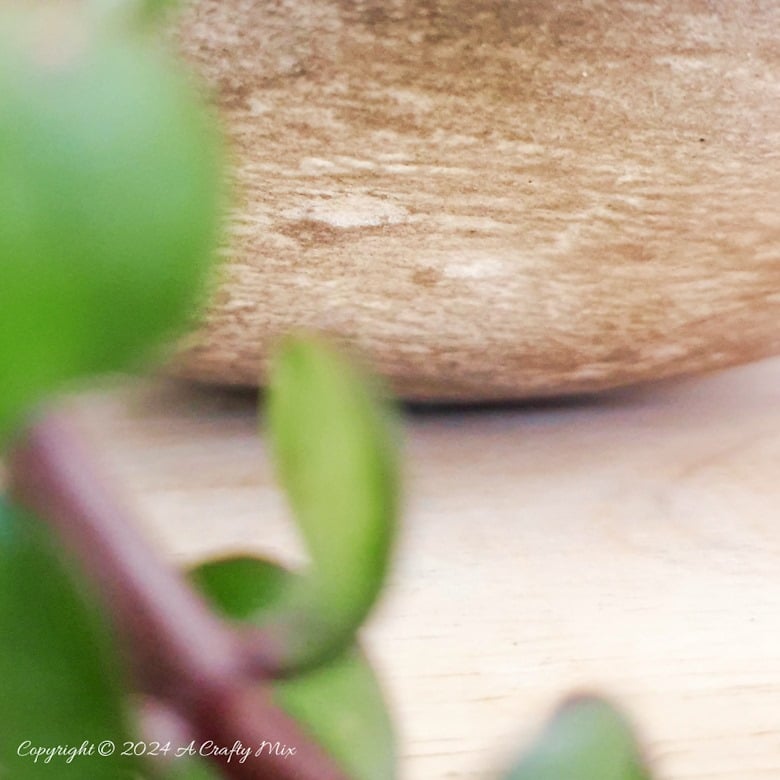 Looking for a unique way to spruce up your garden or patio? Join us as we show you how to get creative with a balloon and make this DIY stone planter with a vine handle! Combining art, nature, and a touch of hand-crafted whimsy, this one-of-a-kind project is sure to become your favorite garden accessory. And you&rsquo;ll get the added satisfaction of knowing you made it yourself.