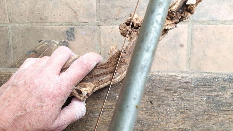 Cut the branch or vine to the right length