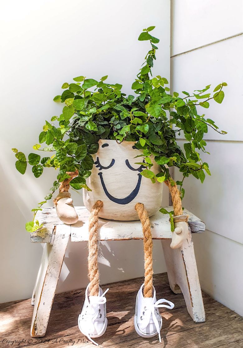 Have we got a fun craft tutorial for you this week! Join us as we share how to make these adorable pot head planters. The step-by-step guide will show you how to dress them up in sneakers and give them little cartoon hands too! They’re a great conversation starter and will add a playful vibe to your home or garden decor!