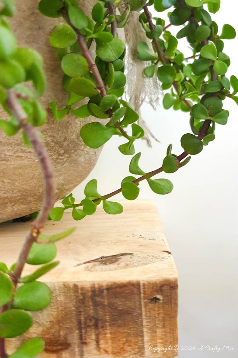 Looking for a unique way to spruce up your garden or patio? Join us as we show you how to get creative with a balloon and make this DIY stone planter with a vine handle! Combining art, nature, and a touch of hand-crafted whimsy, this one-of-a-kind project is sure to become your favorite garden accessory. And you&rsquo;ll get the added satisfaction of knowing you made it yourself.