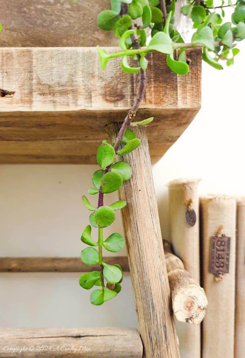 Looking for a unique way to spruce up your garden or patio? Join us as we show you how to get creative with a balloon and make this DIY stone planter with a vine handle! Combining art, nature, and a touch of hand-crafted whimsy, this one-of-a-kind project is sure to become your favorite garden accessory. And you&rsquo;ll get the added satisfaction of knowing you made it yourself.