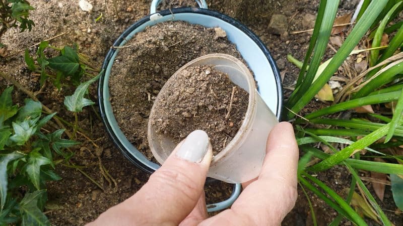 Collect common garden soil to transform the texture paste into clay